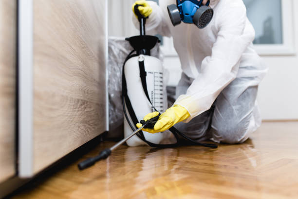 Best Best Pest Control Companies  in Germantown, TN