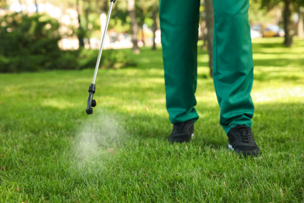 Pest Prevention Services in Germantown, TN