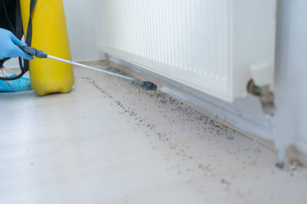 Best Commercial Pest Control Services  in Germantown, TN